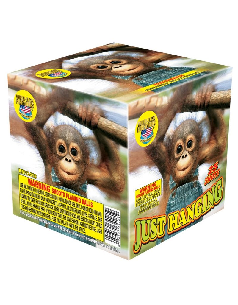 World Class Just Hanging - Case of 12