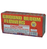 World Class Ground Bloom Flower, WC - Brick 12/6
