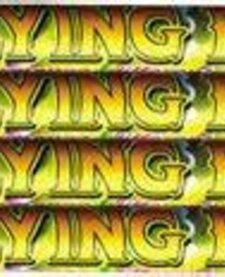 Flying Fish 5 Ball - Case 24/4