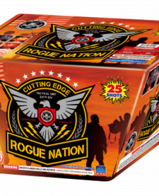 Rogue Nation - Case of 4