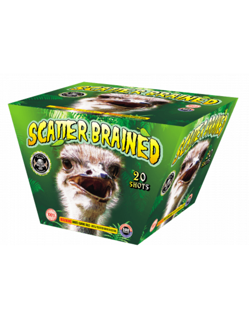 Cutting Edge Scatter Brained