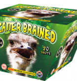 Cutting Edge Scatter Brain - Case of 4
