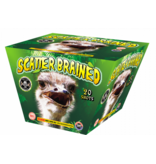 Cutting Edge Scatter Brained - Case of 4