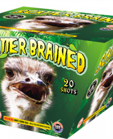 Scatter Brain - Case of 4