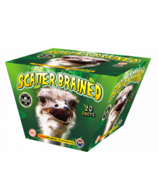 Scatter Brained - Case of 4