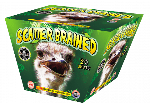 Cutting Edge Scatter Brain - Case of 4
