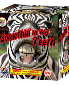 Somethin in My Teeth