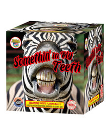 Somethin in My Teeth - Case of 16