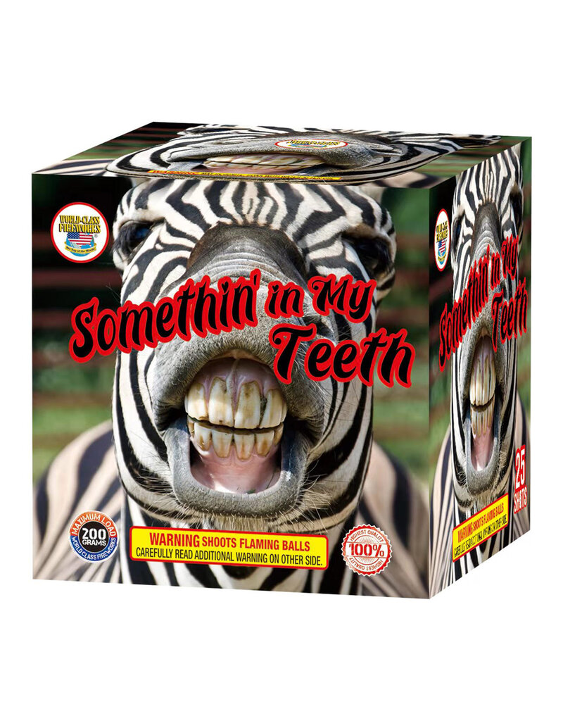 World Class Somethin in My Teeth - Case of 16