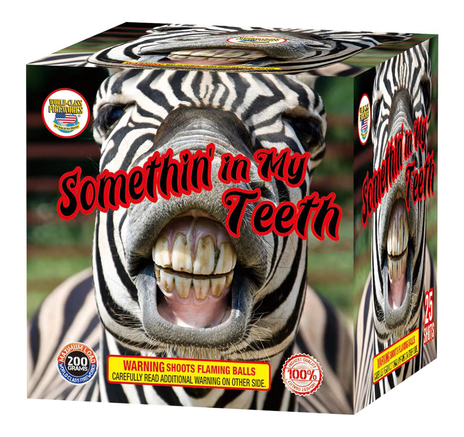 World Class Somethin in My Teeth - Case of 16