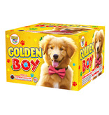 Golden Boy - Case of 6