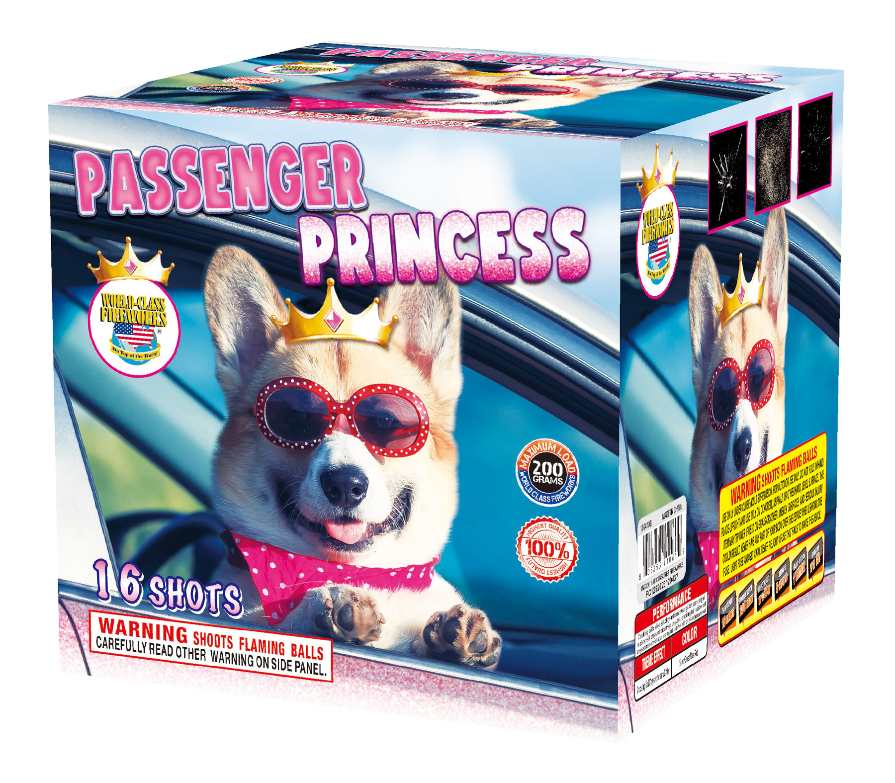 Passenger Princess