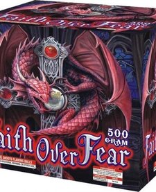 Faith Over Fear - Case of 4