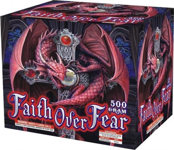 Faith Over Fear - Case of 4