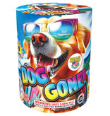 Dog Gone - Case of 30
