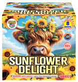 Sunflower Delight