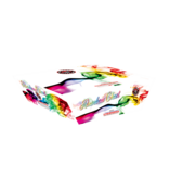 Raccoon Rainbow Ghost - Case of 1