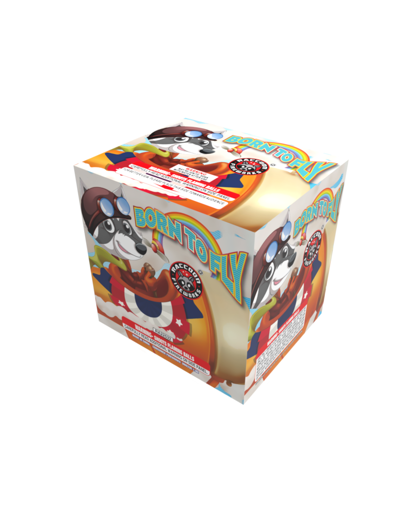 Raccoon Born to Fly - Case of 12