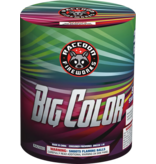 Raccoon Big Color