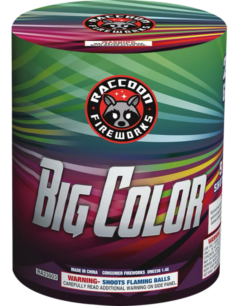 Raccoon Big Color