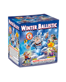 Winter Ballistic - Case of 12