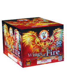 Wings of Fire - Case of 4