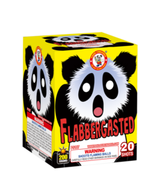 Flabbergasted - Case of 16