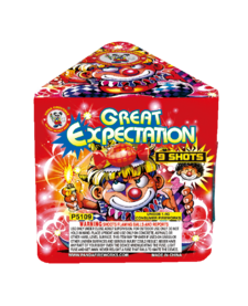 Great Expectation - Case of 24