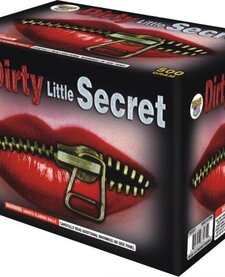 Dirty Little Secret - Case of 4