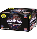 World Class American Born - Case of 4
