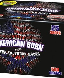 American Born with Deep Southern Roots - Case of 4