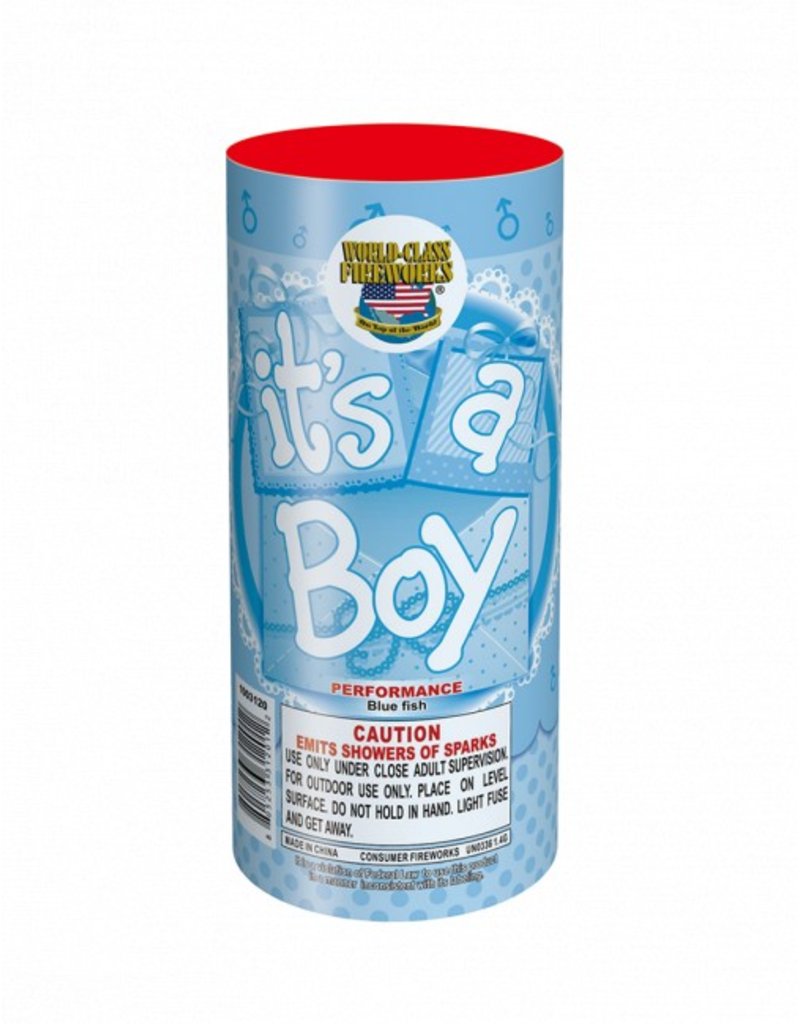 World Class It's a Boy (The Reveal) - Case of 24