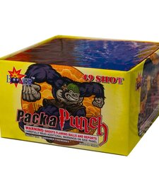 Pack a Punch - Case of 24