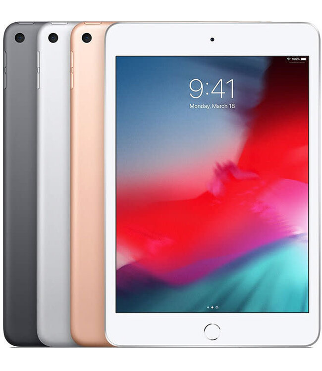 Apple iPad mini 5 Wi-Fi 256GB