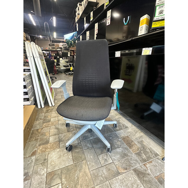 Haworth Fern High End Ergonomic Office Chair Mesh Back