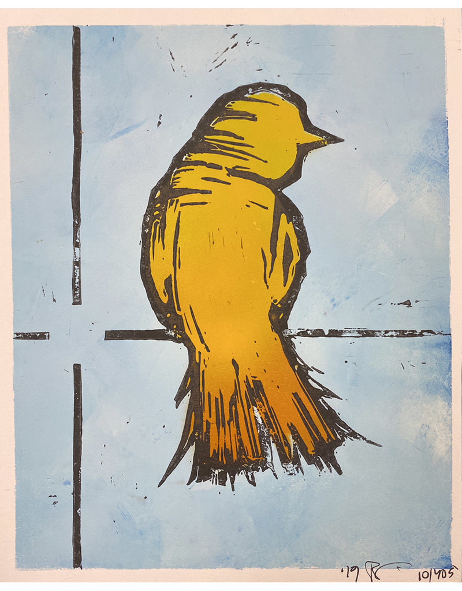 Paul Punzo Assorted Bird Prints by Paul Punzo