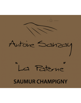 Antoine Sanzay Saumur Champigny 'La Paterne' 2020 750ml