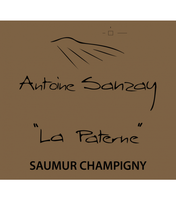 Antoine Sanzay Saumur Champigny 'La Paterne' 2020 750ml