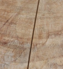 807F-02 = GOLD FILLED - HEAD PIN - 2''x.025'' (22ga/.65mm)  WIRE