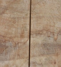 807F-11 = GOLD FILLED - HEAD PIN - 2''x.030'' (20ga/.8mm) WIRE