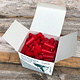 Du-Matt 21.0951-08 = WAX GUN RED WAX FOR MATT GUN 130pc