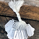 DTA1763 = White Paper String Tags (1/2''x1'') (Pkg of 1000)