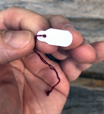 DTA6065 = Paper String Tag 3/4"x5/16" (Pkg of 1000)