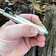 MO363 = Economy Quickchange Handpiece