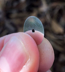 Panther Burs Unmounted Circular Saw - Choose Size