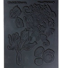 PN4752 = Texture Stamp - Fossillicious by Christi Friesen