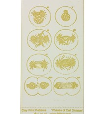 MC2627 = CLAY PRINT PATTERN - LASER CUT - PHASES OF CELL DIVISION
