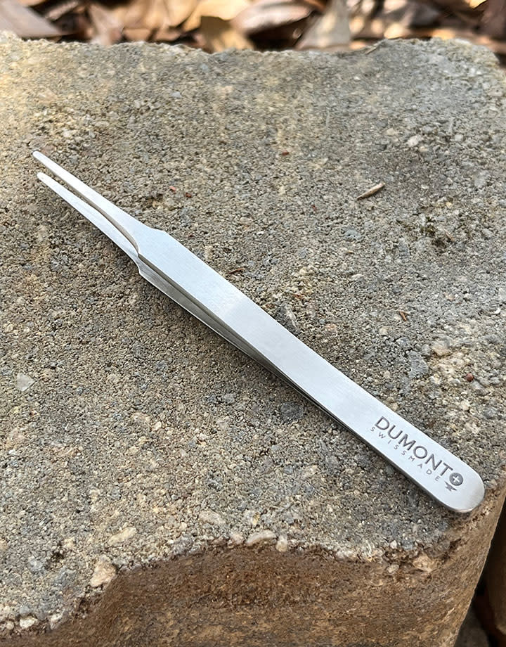 Dumont TW3652A = TWEEZER ANTIMAGNETIC DUMONT #2A STAINLESS STEEL