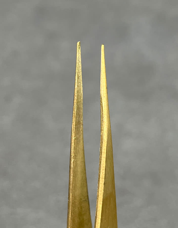 TW301B = Brass Tweezers AA - 5" long