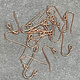 803CU-07 = Copper Earwire with Loop and 1mm Bead (Pkg of 20)